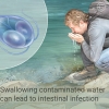 Giardia