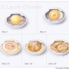 Chicken Development in Egg