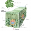 Leaf Structure