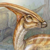 Hadrosaurs