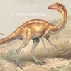 Arkansaurus