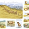 Elk Behavior and Habitat Issues