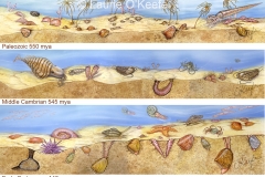 Marine Ecosystems from the Past