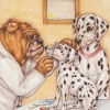 Dottie the Dalmatian has Epilepsy