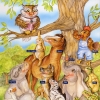 Dr. Wellbook Collection Poster