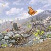 Children's Picture Book Art