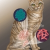 Intestinal Infection Sites in Cat