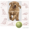 Canine Behavior