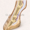 Horse Hoof and Joint Anatomy