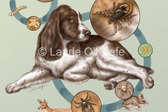 Tick and Flea Life cycles in Dog